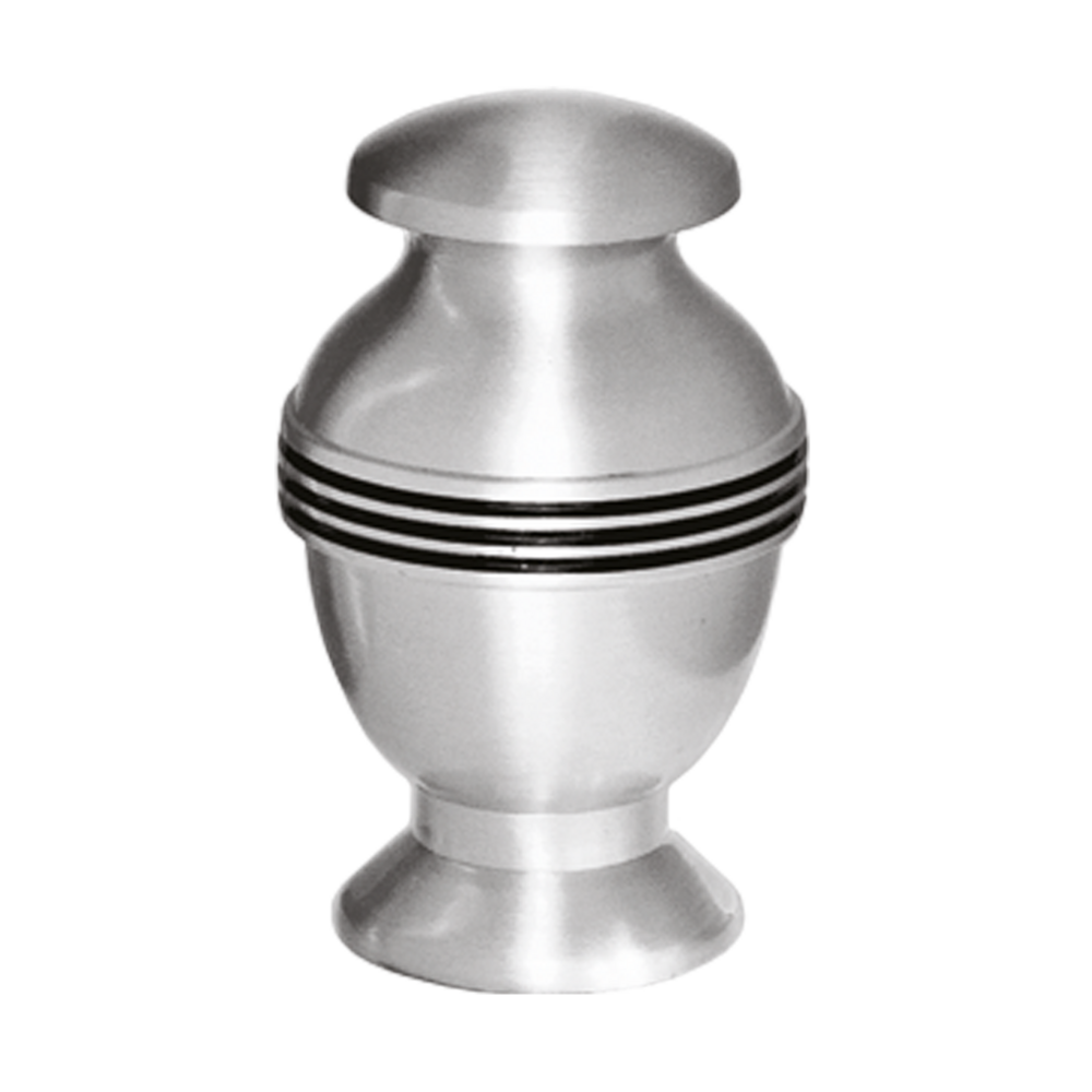 HORIZON SILVER Token